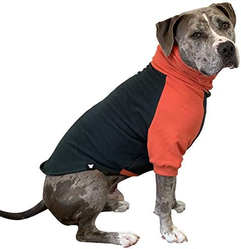 Пуловер за куче с зъби и Мед / Пуловер за по-големи кучета Pitbull /Hoody за кучета / Тъмно Зелено и оранжево (XX-Large)