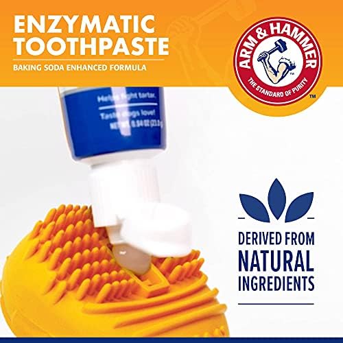 Ръкохватка и чук за домашни любимци за Контрол на зъбен камък EZ Clean Bone & паста за зъби за кучета | Феята на Кост