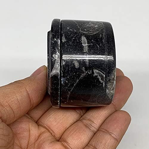 WatanGems 127 Грама, на 1.5 x 2 Черен Ковчег за бижута Fossil Orthoceras Кръгла форма, Полирана Ръчно изработени от Мароко,