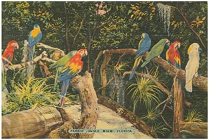 Търговска марка на Fine Art 'Florida Postcard II' Платно-арт от Wild Apple Portfolio 22x32