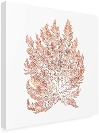 Търговска марка на Fine Art 'Pacific Sea Mosses I White Sq' Платно-арт от Wild Apple Portfolio