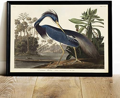 Принт с Луизианской Цаплей, Антични Картина с Птици, Ретро Плакат С Изображение, монтиран на стената Артистичен Интериор,