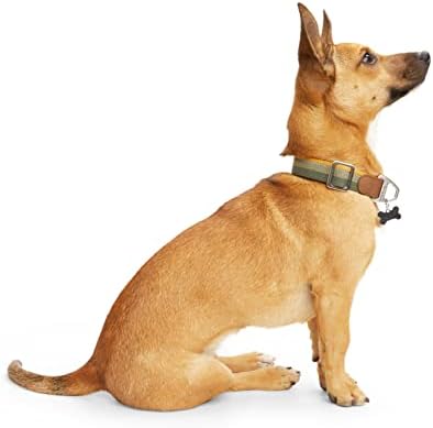 Нашийник за куче в Червено-Зелената лента, Среден размер