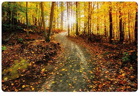 Есента мат Ambesonne за домашни за храна и вода, Вдъхновяваща Гледка Рано сутрин в гората с Възходяща тенденция на слънцето,