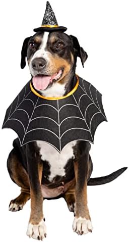 Костюм на куче с шапка на вещица и яка Пет Krewe на Хелоуин е Подходящ за малки, средни, големи и много големи кучета