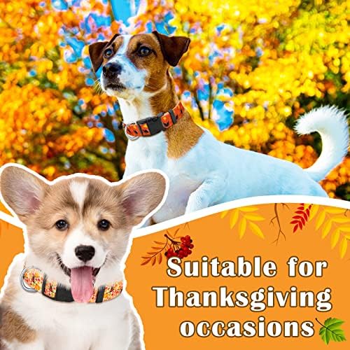 Tondiamo 6 бр. Есента нашийник за Деня на Благодарността за Кученца от Много Малки до Средни и Големи Кучета, Найлон
